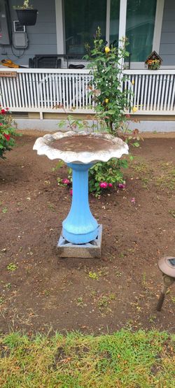 Concrete bird bath