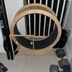 Brand New Cat Wheel