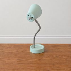 Soft Mint Adjustable Desk Lamp