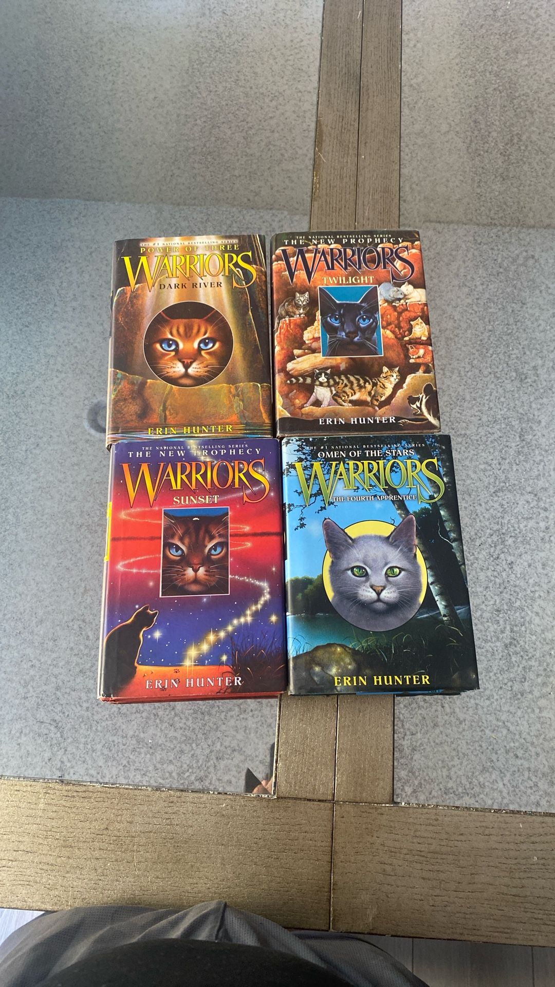 Warrior Cat Books