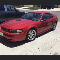 2000 Ford Mustang
