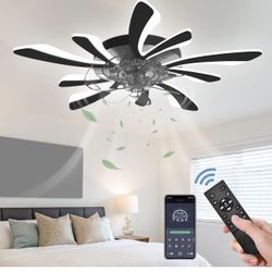Dimmable Ceiling Fan with Light and Remote Control, 31" Small Flush Mounted Ceiling Fan with Led Lights, APP and Remote Controlled, Modern, Black, Upg