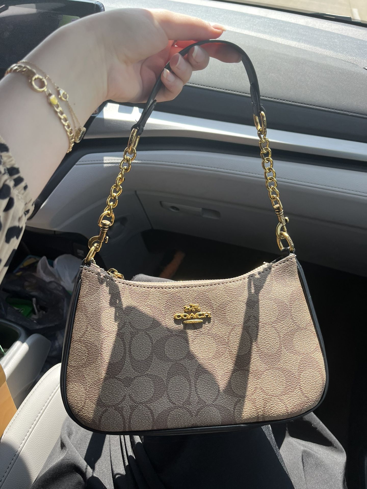 Coach Teri Bag Brown And Black