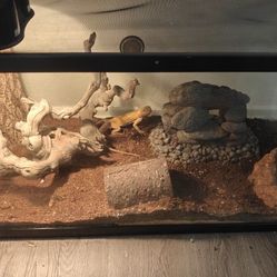 Free Tank No More Space Come By 