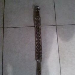 Dog Collar