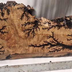 Fractal Wood Burn