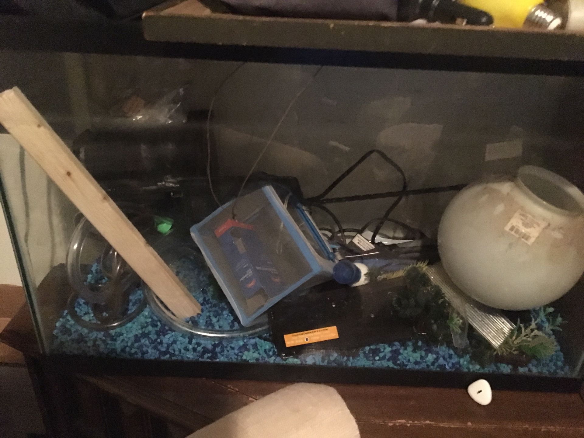 Fish tank