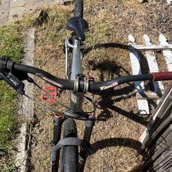 Specialized 29in bike