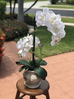 Large Potted Faux Orchid Arrangement