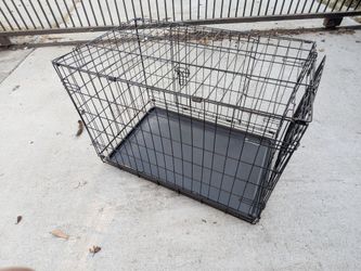 Dog kennel, puppy pa