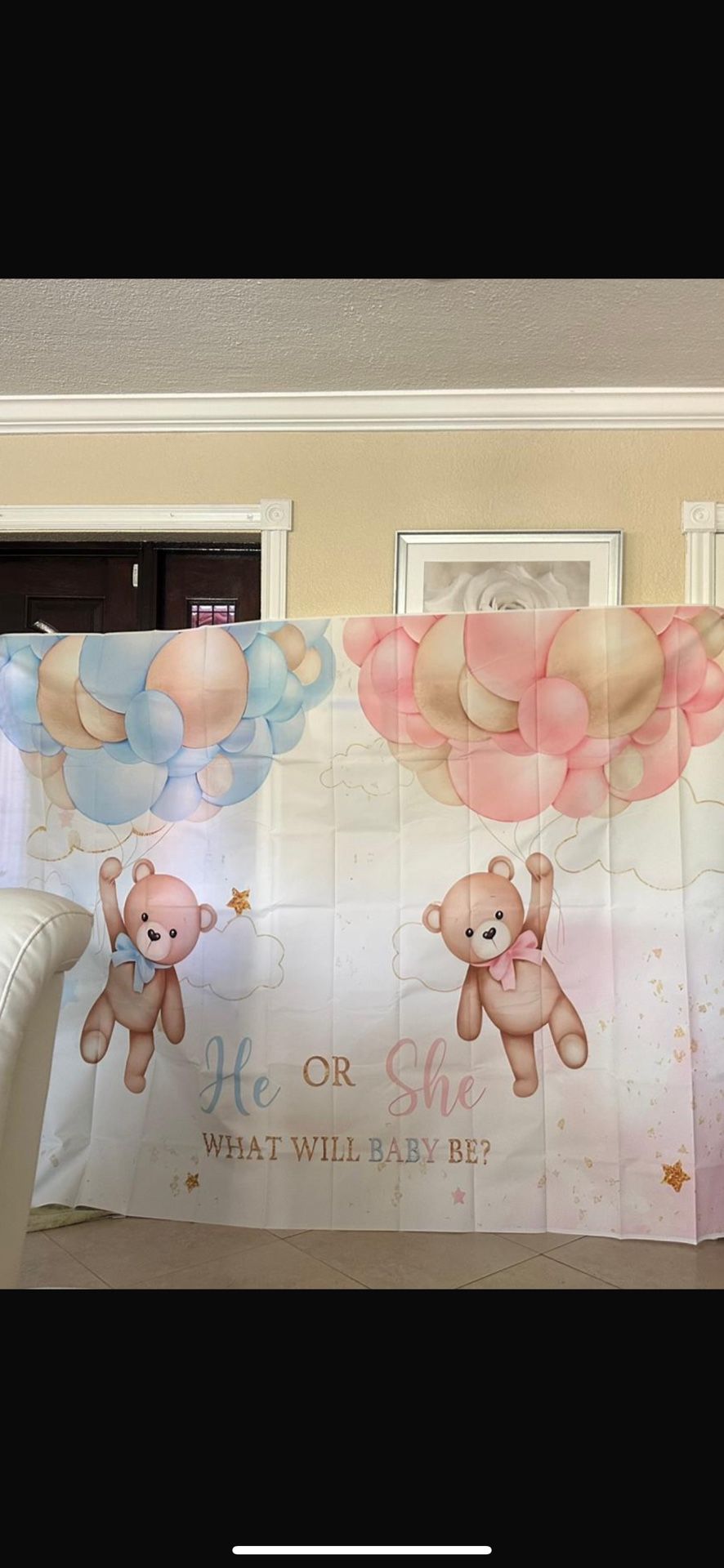 Gender Reveal 