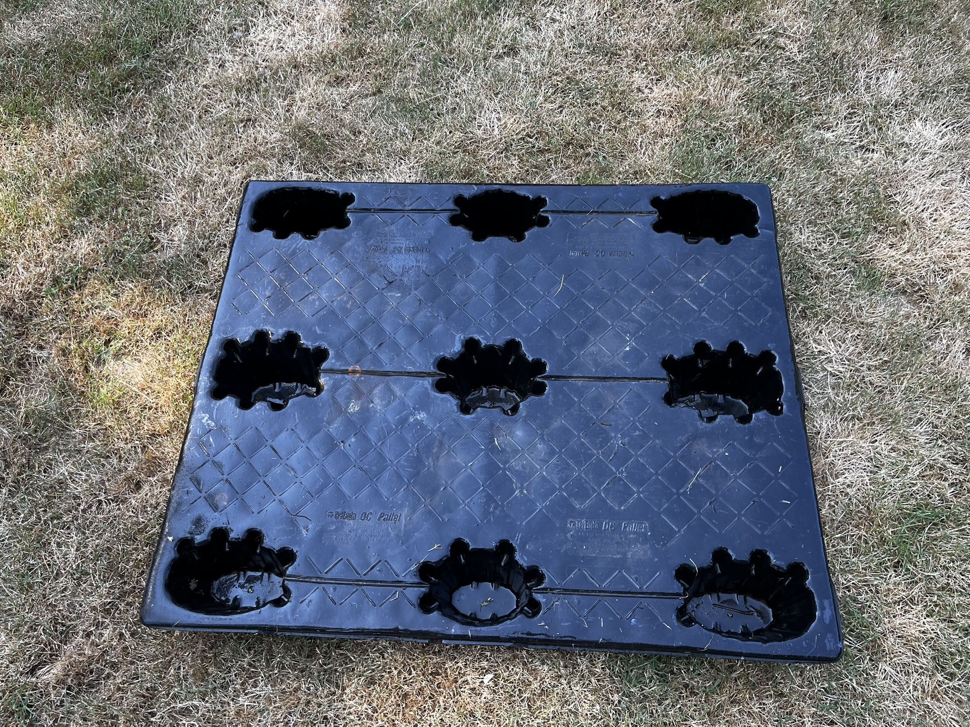 Plastic Pallet
