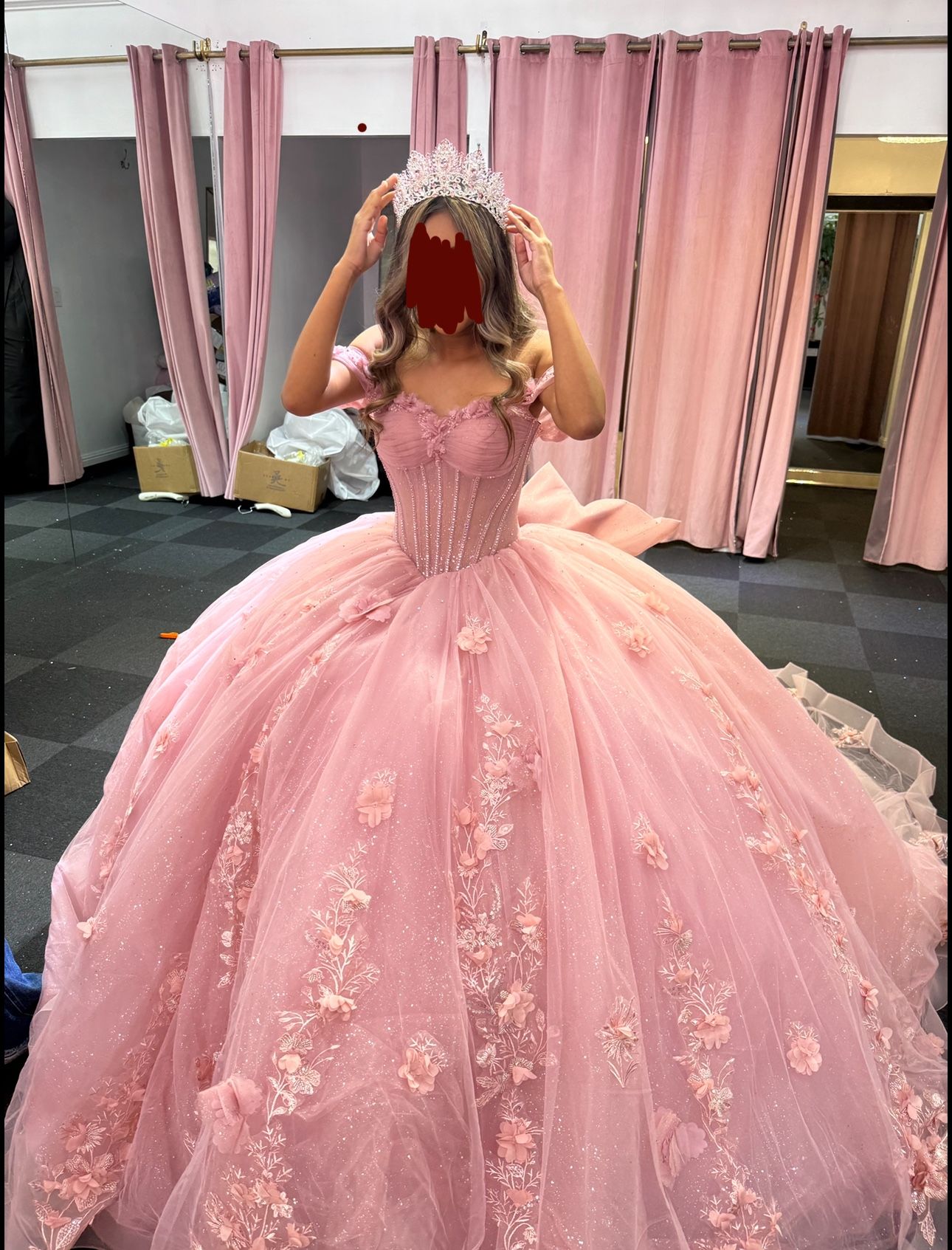 Quinceanera/ Sweet 16 dress