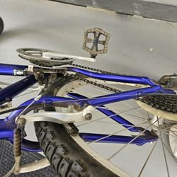 Schwinn Bike 