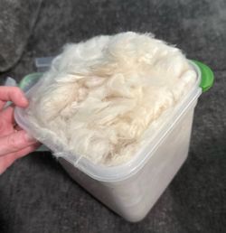 white sheep wool felting crafts