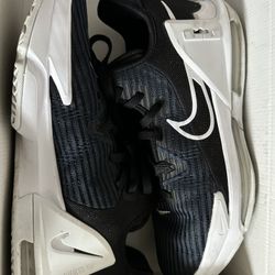 Lebron Witness VI Size 12