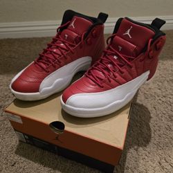 Jordan Retro 12