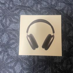 AirPod Max Lighting Port 
