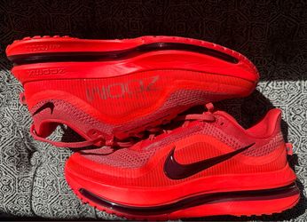 Nike Pegasus Premium