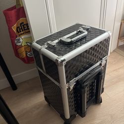 Travel Cosmo/esthetician Case 