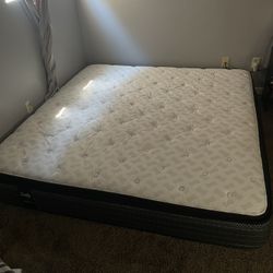 King bed - Sealy