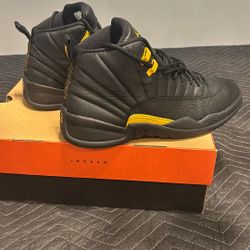 Jordan 12