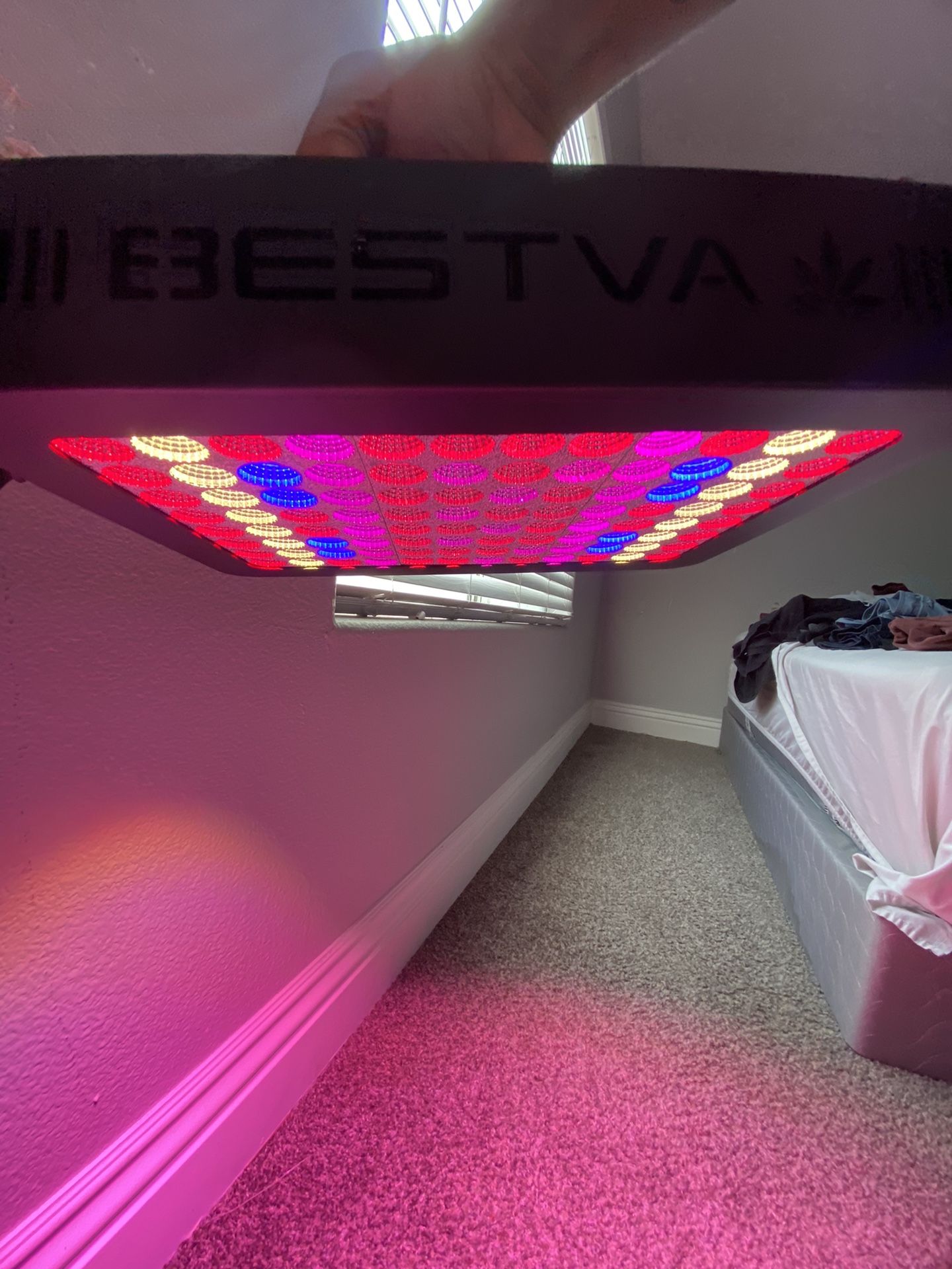 Bestva 1000W LED Grow Lights