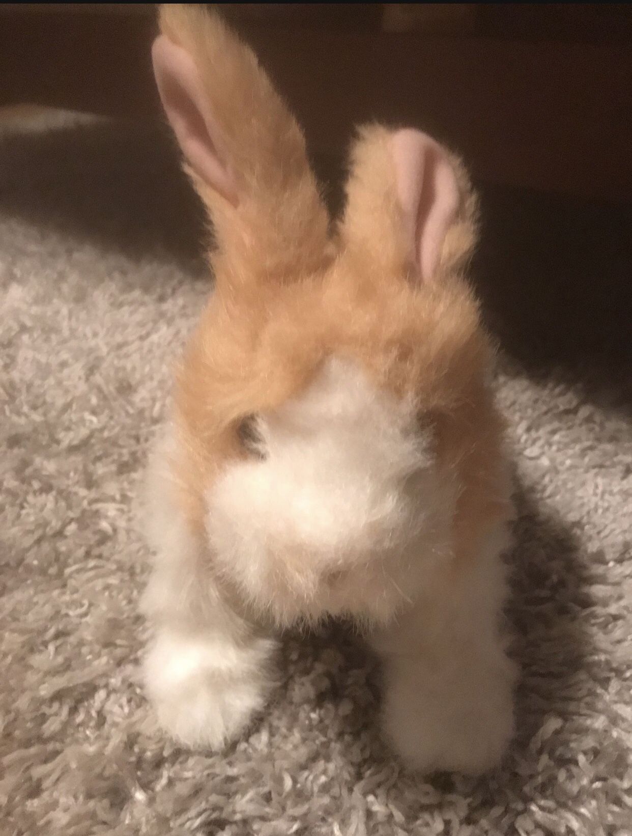 FurReal friends bunny toy