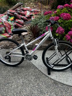 Nishiki Bike