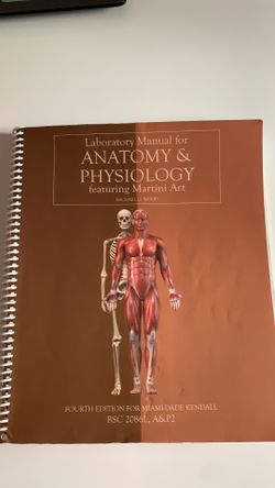 Anatomy 2