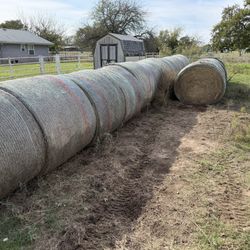 Horse Hay Coastal Round 