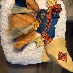 Free New Kids Costume ( 3t-4t) 