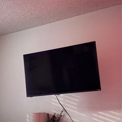 40in Vizio TV with swivel mount