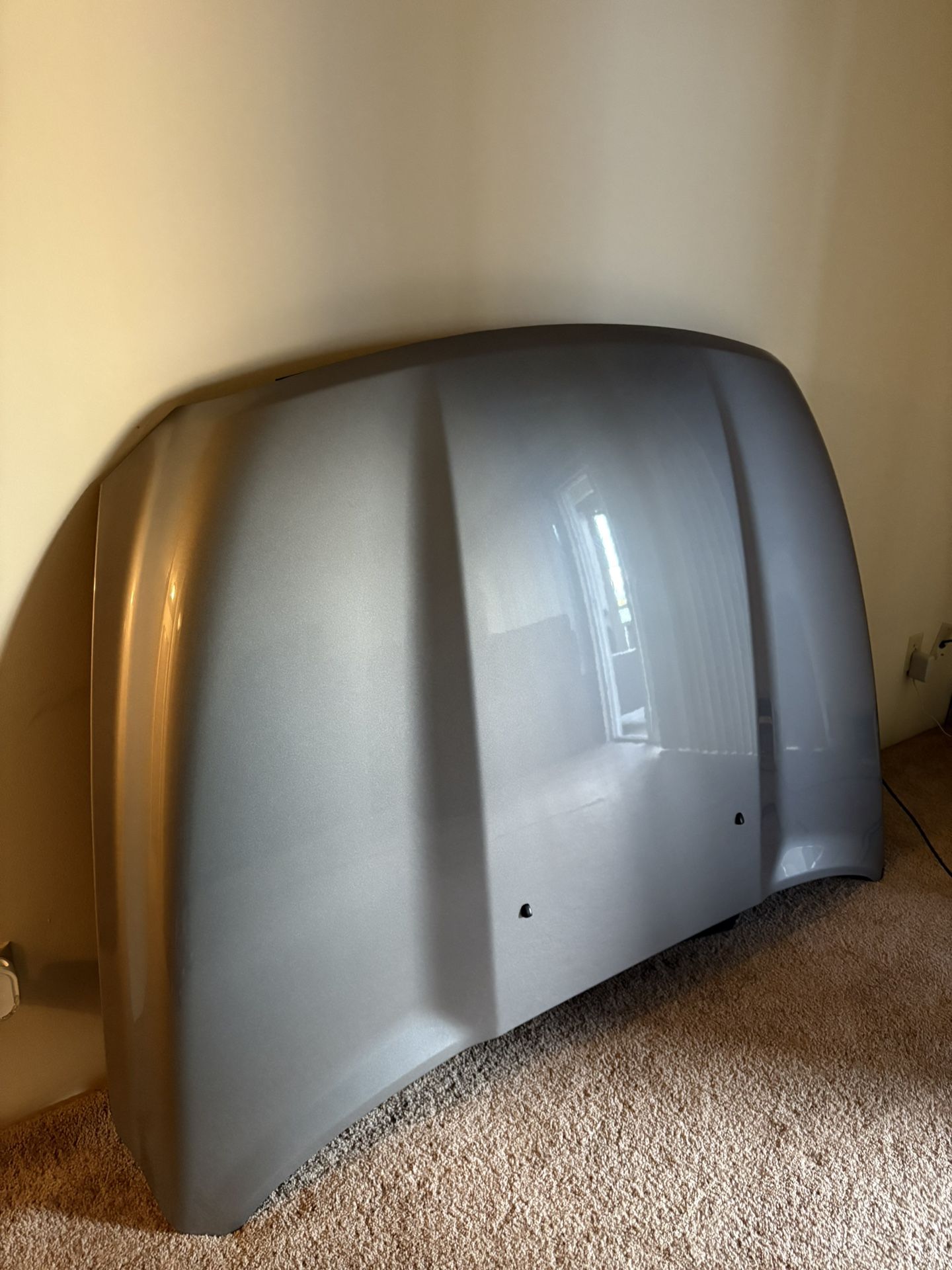 Ram 1500 Hood