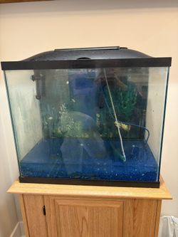 Fish Tank and Stand