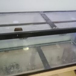 Glass Aquariums