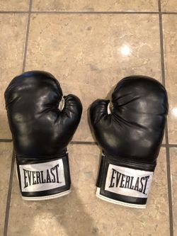 Everlast punching gloves boxing gloves