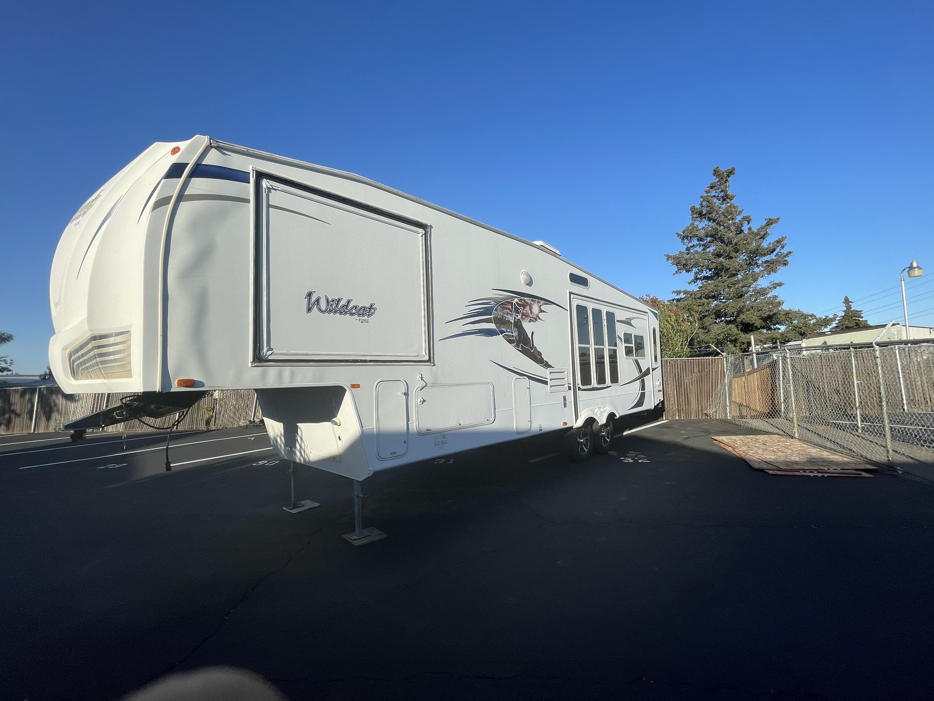 2011 Wild cat CCH