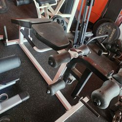 HEAVY DUTY LEG EXTENSION/LEG CURL.  TWO MACHINES IN ONE ( EXCELLENT CONDITION  )