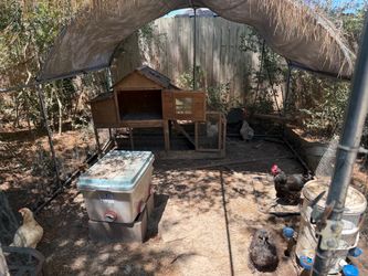 Chicken Coop 10 by 20 aluminum with supplies