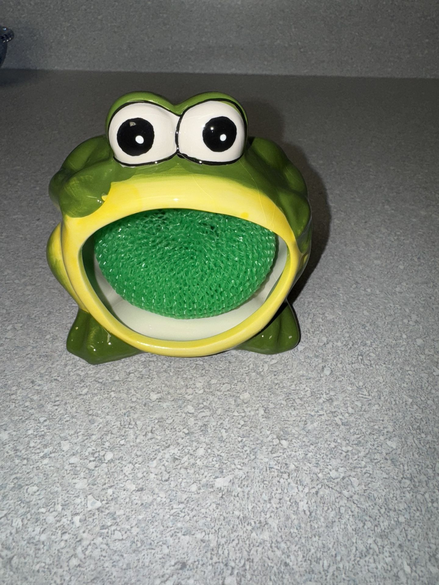Frog Scrub Pad Holder