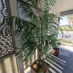 Artificial Palm Plant
