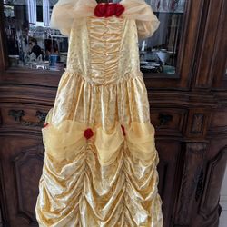 Cinderella Girls Dress 