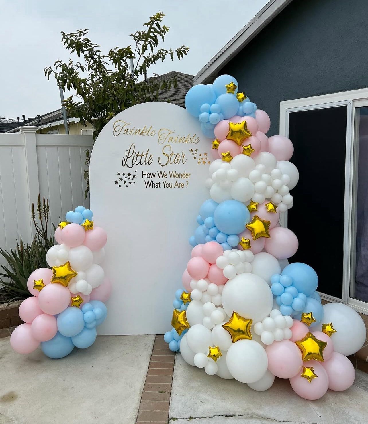 Gender Reveal Balloons , Backdrop , Balloon Garland