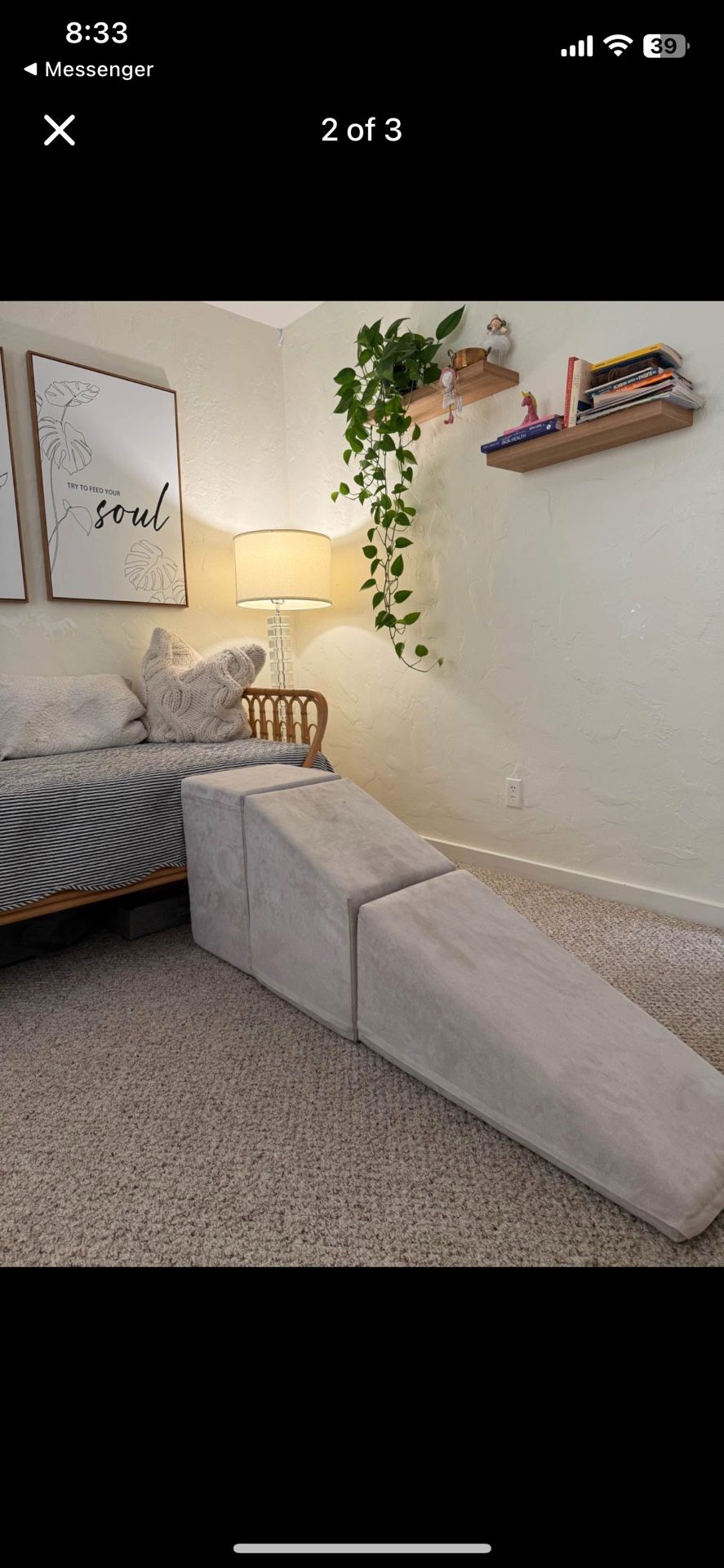 High Density Extended Foam Dog Ramp