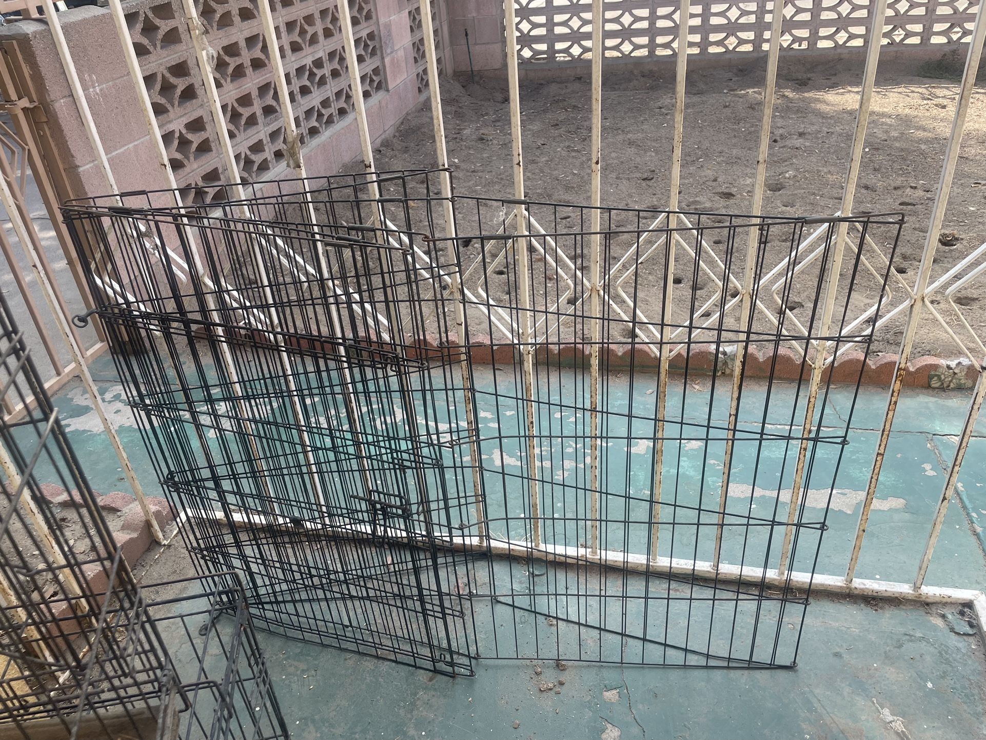 Dog Cage And Cake For The Dogs To Walk Around