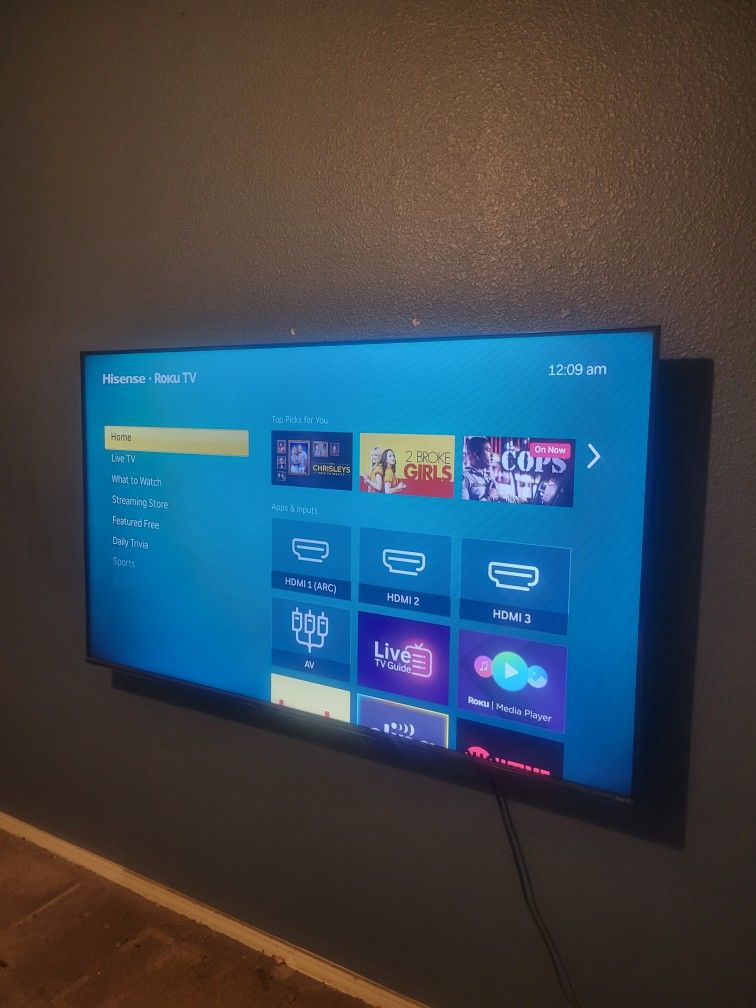 65" Hisense Tv