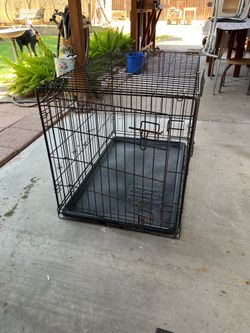 LG Animal Crate