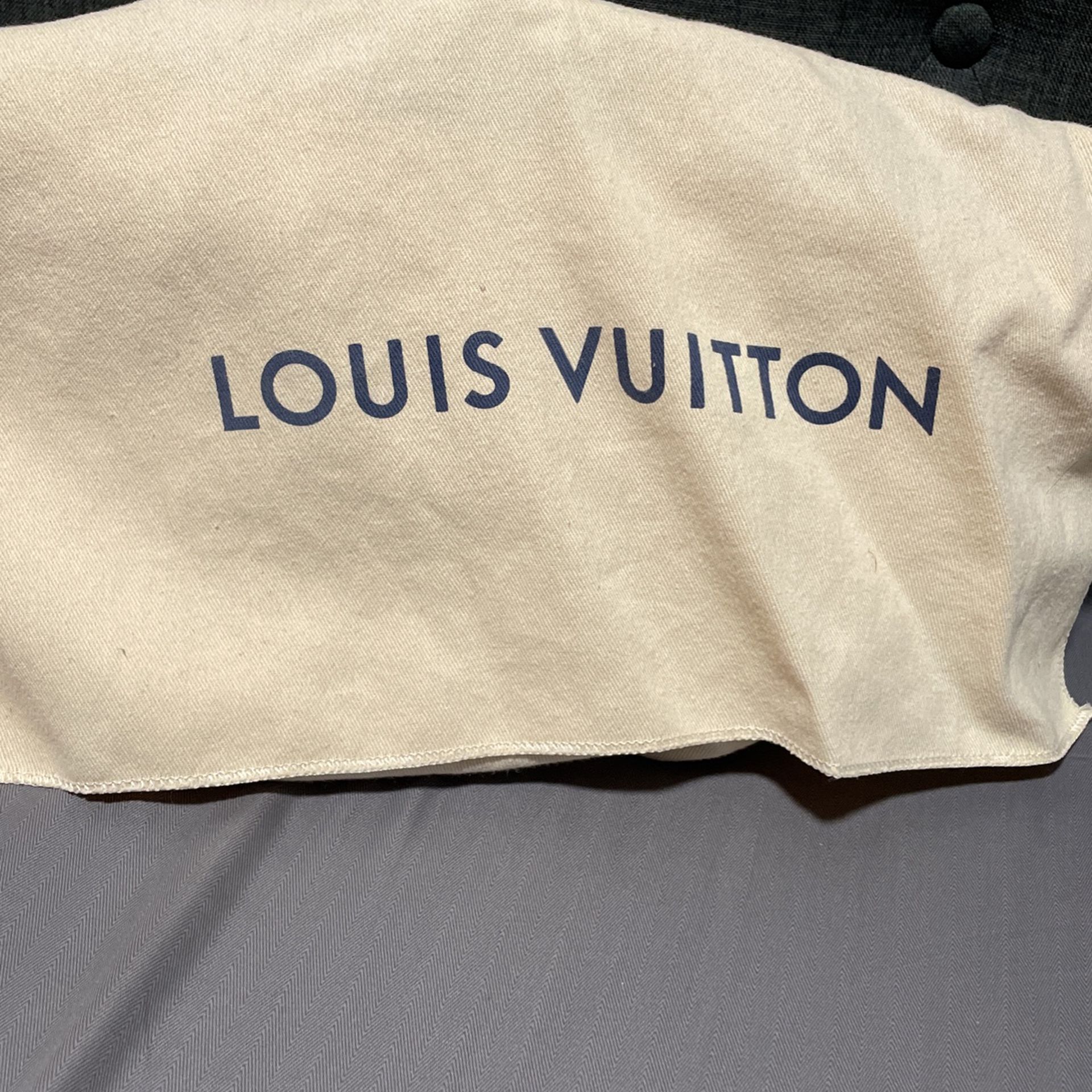 Louis Vuitton Green Hand Bag for Sale in Winchester, CA - OfferUp