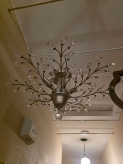 Holly 4-light Brushed Champagne Silver Crystal Leaves Flush Mount